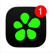 ICQ