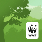 WWF森‪林